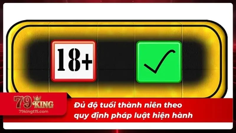 Minh họa xác minh độ tuổi theo quy định sử dụng dịch vụ