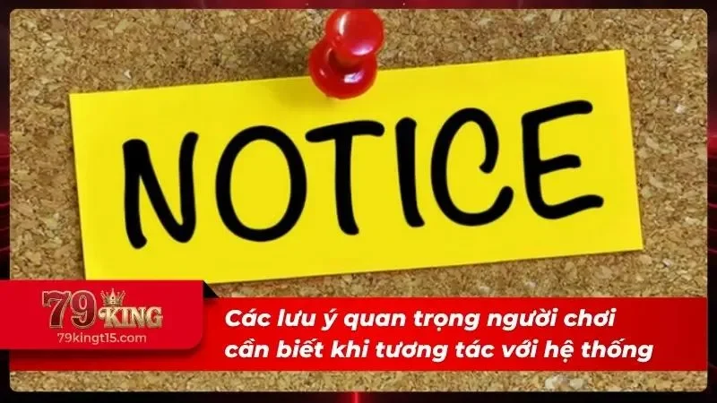 Lưu ý quan trọng mà bet thủ cần phải biết