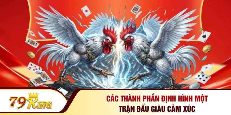 Các thành phần định hình một trận đấu giàu cảm xúc 