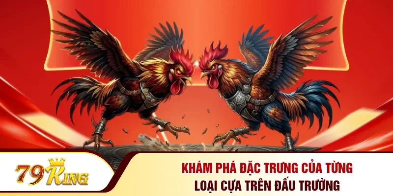 Khám phá đặc trưng của từng loại cựa trên đấu trường 