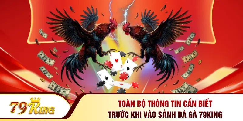 Toàn bộ thông tin cần biết trước khi vào sảnh đá gà 79KING 